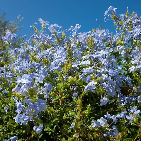 Ferienhaus Casa Elianta *