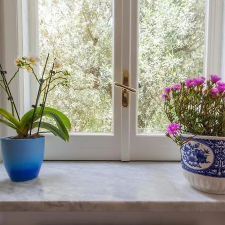 Holiday home Casa Elianta Vico Equense
